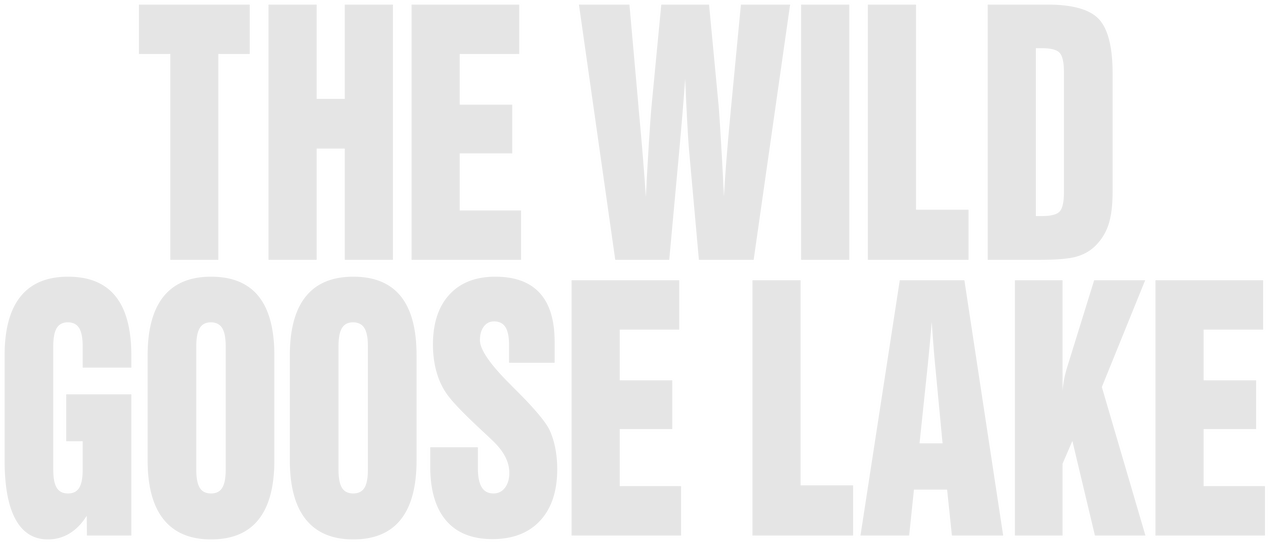 Watch The Wild Goose Lake Netflix